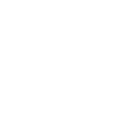 Geórgia Erovnuli Liga logo