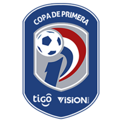 Campeonato Paraguaio (Paraguai Primeira Divisão) logo