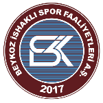 Büyükcekmece Gücü FK