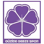 Güzide Gebzespor